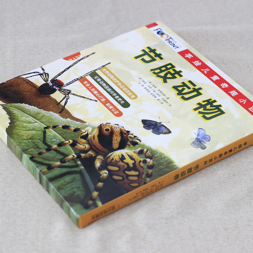 手绘儿童奇趣小百科.节肢动物(全5册) 商品图2