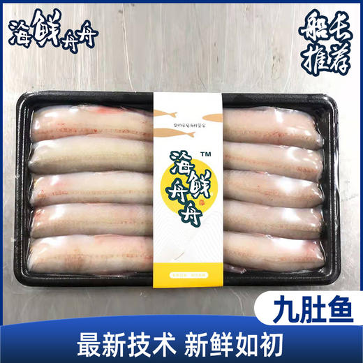 【野生】东海九肚鱼（豆腐鱼） 450克 去头 商品图0