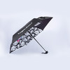SUPER KIMI 晴雨伞 — 花花视界/半边出租 商品缩略图0