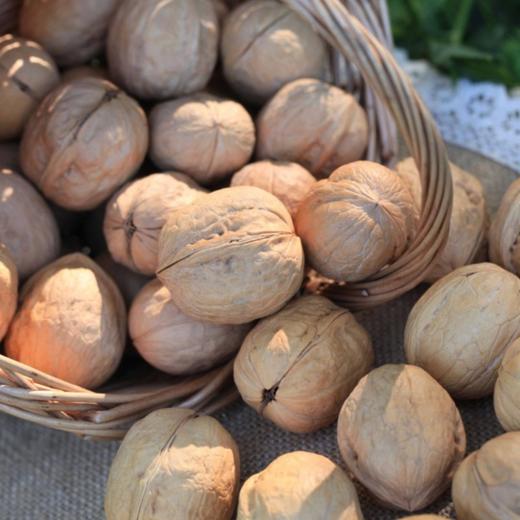 新疆阿克苏185纸皮核桃-3斤家庭装 商品图0