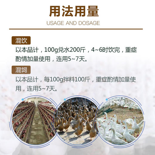 【杆立克】禽用大肠杆菌鸭传染性浆膜炎气囊炎腹膜炎等鸭鹅药 100g/袋 商品图1
