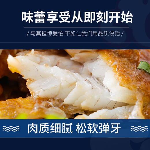 【顺丰包邮】2-2.4斤青岛大黄花鱼——新鲜冷冻大黄鱼单条1斤-1.2斤 商品图2