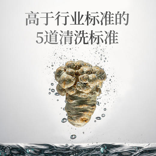 【白药精选】云南白药豹七三七极细粉100g道地文山三七中药材 打粉GMP品质208项检测 商品图7