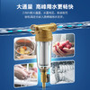 飞利浦（PHILIPS）家用前置过滤器保护全屋涉水家电 家用净水机  AWP1700/AWP1701 商品缩略图0