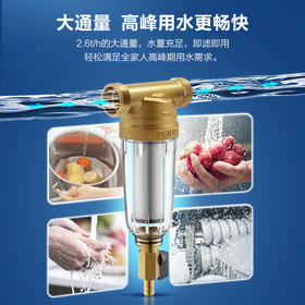 飞利浦（PHILIPS）家用前置过滤器保护全屋涉水家电 家用净水机  AWP1700/AWP1701