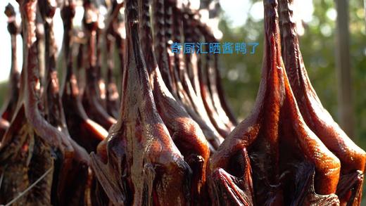 冷菜/酱味佬酱麻鸭750克左右/只 商品图8