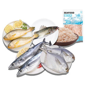 【顺丰包邮】新鲜黄花鱼鲈鱼鲅鱼金昌鱼组合超值套餐