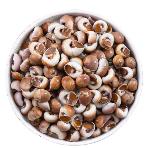 【香螺】3斤香螺鲜活玉海鲜水产。顺丰包邮 商品图3