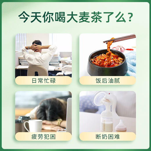 【大麦茶】150g 烘焙原味大麦茶养生茶 商品图4