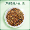 【大麦茶】150g 烘焙原味大麦茶养生茶 商品缩略图3