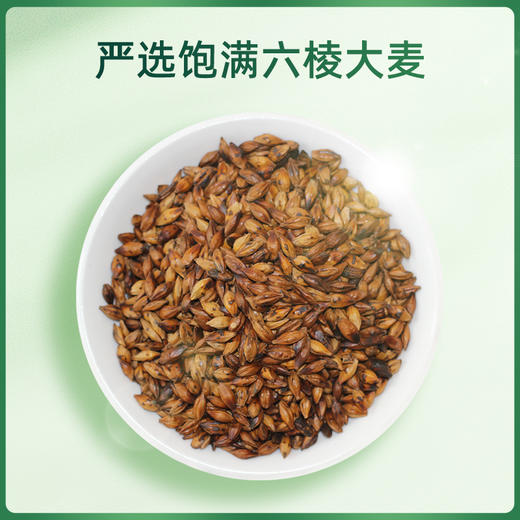 【大麦茶】150g 烘焙原味大麦茶养生茶 商品图3
