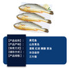 【顺丰包邮】2-2.4斤青岛大黄花鱼——新鲜冷冻大黄鱼单条1斤-1.2斤 商品缩略图1