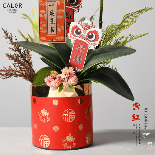 *【新年包装纸】贺岁金纸（宫红）（15张/包 100包/件）57*57cm 商品图10