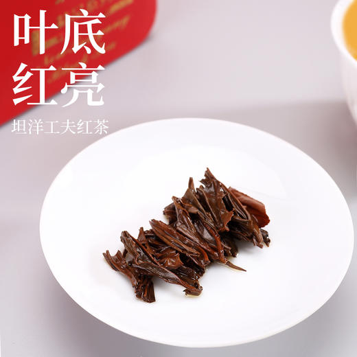 新坦洋 红玫瑰系列 2022年 一级功夫小种红茶清香商务用250g 商品图3