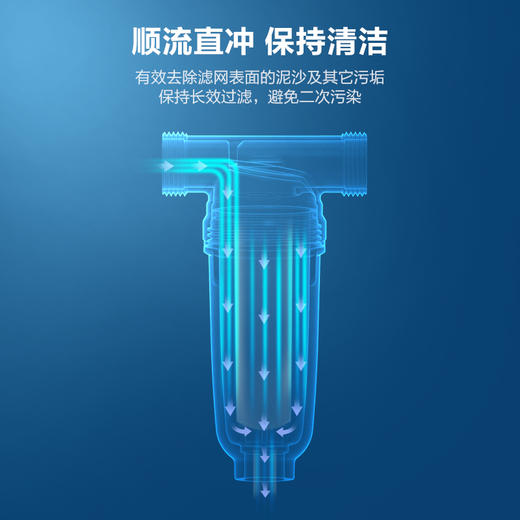 飞利浦（PHILIPS）家用前置过滤器保护全屋涉水家电 家用净水机  AWP1700/AWP1701 商品图1