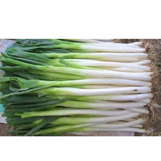 【2.98元2斤】大葱（1500084） 商品图0