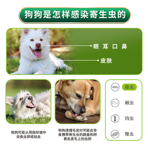 德国拜耳进口拜宠清猫咪狗狗体内驱虫药 商品图3