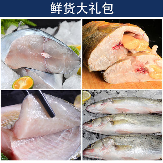 【顺丰包邮】新鲜黄花鱼鲈鱼鲅鱼金昌鱼组合超值套餐 商品图2