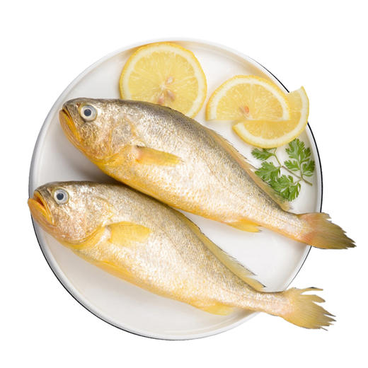 【顺丰包邮】2-2.4斤青岛大黄花鱼——新鲜冷冻大黄鱼单条1斤-1.2斤 商品图0