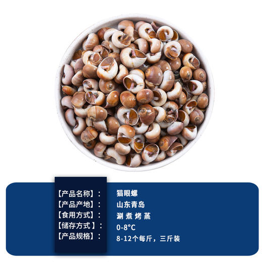 【香螺】3斤香螺鲜活玉海鲜水产。顺丰包邮 商品图1