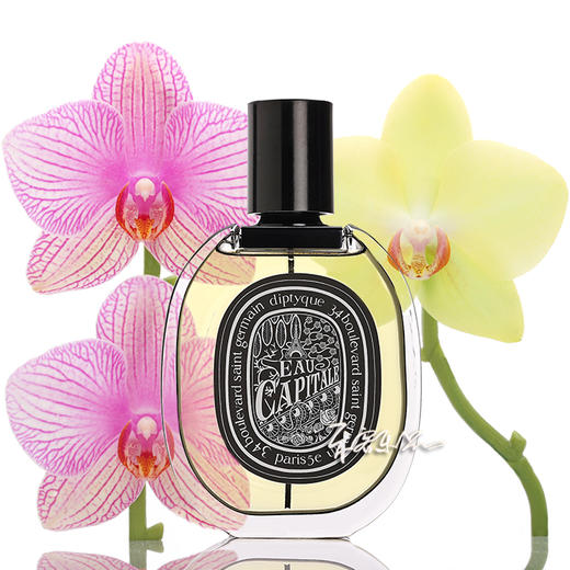 蒂普提克 巴黎之水 Diptyque Eau Capitale  小样/正装 商品图0