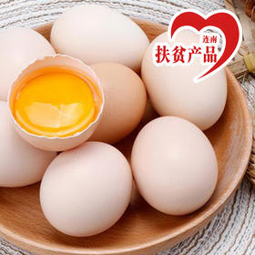 广东连南瑶乡土鸡蛋（30枚）