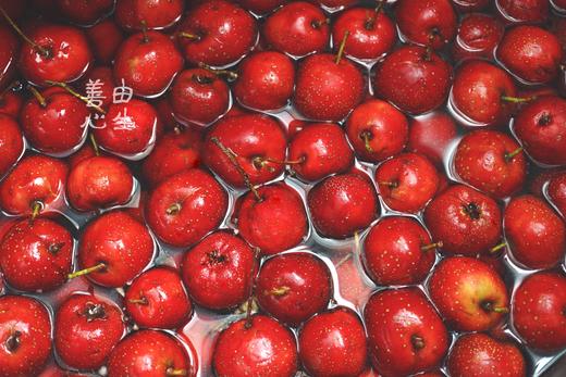 陈皮六物山楂条 商品图3