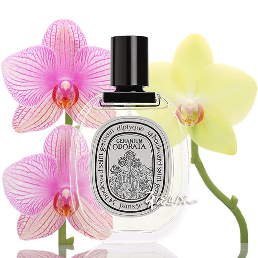 Diptyque 天竺葵之水 蒂普提克 Geranium odorata  小样/正装 商品图0