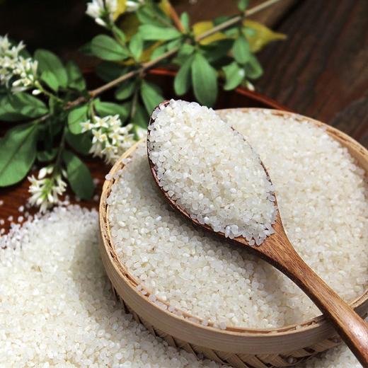 散装碎粥米（2.2元1斤，5斤/份） 商品图1