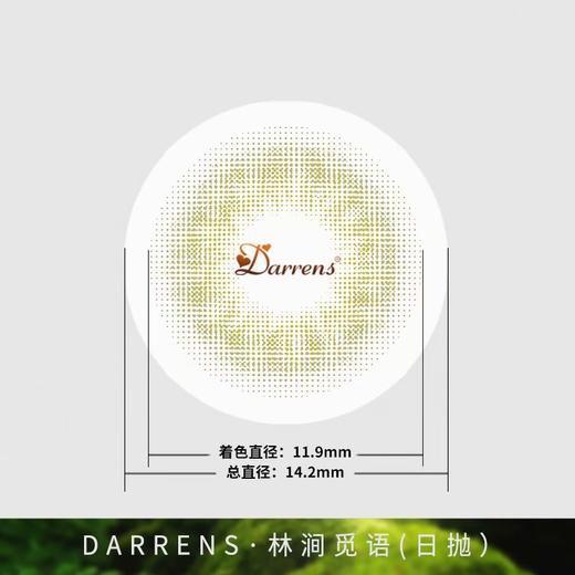 Darrens 日抛觅语系列三色 虹膜款 超小直径无扩瞳效果 着色11.9mm整体14.2mm 商品图2