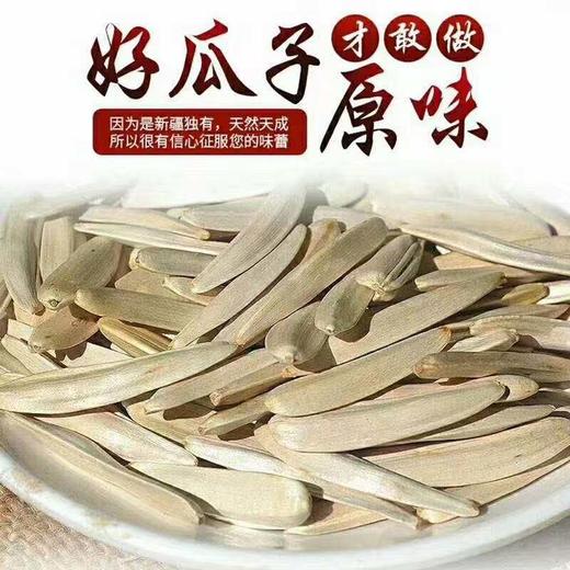 葵方提马牙白瓜子/花葵 510克/袋*2 商品图0