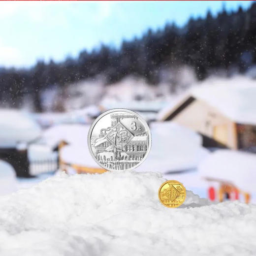 2021年贺岁福字金银币  1克金币+8克银币 商品图2