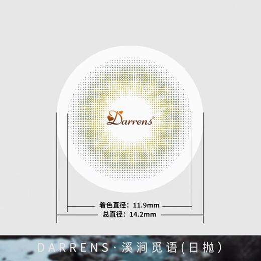 Darrens 日抛觅语系列三色 虹膜款 超小直径无扩瞳效果 着色11.9mm整体14.2mm 商品图6