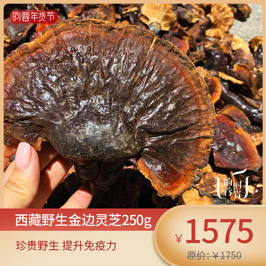 西藏林芝波密县野生赤灵芝收货后需放冰箱冷藏储存