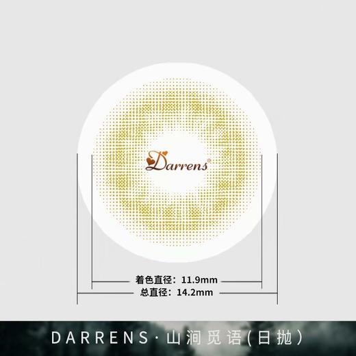 Darrens 日抛觅语系列三色 虹膜款 超小直径无扩瞳效果 着色11.9mm整体14.2mm 商品图10