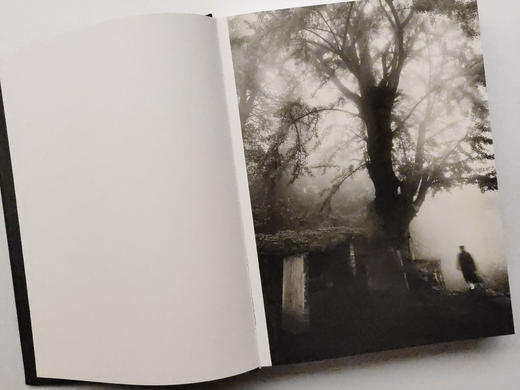 限量收藏版“巴蜀dao教百科全书“——王达军摄影画册问道《CONSULTING TAOISM》 /四川美术出版社 商品图1