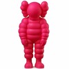 Kaws what party-荧光粉 商品缩略图0