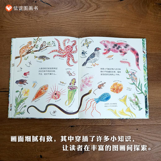 信谊 世界精选图画书：数不清！大自然的生物多样性  精装3-8岁 商品图2