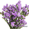 配花 | 勿忘我浅紫色 商品缩略图0