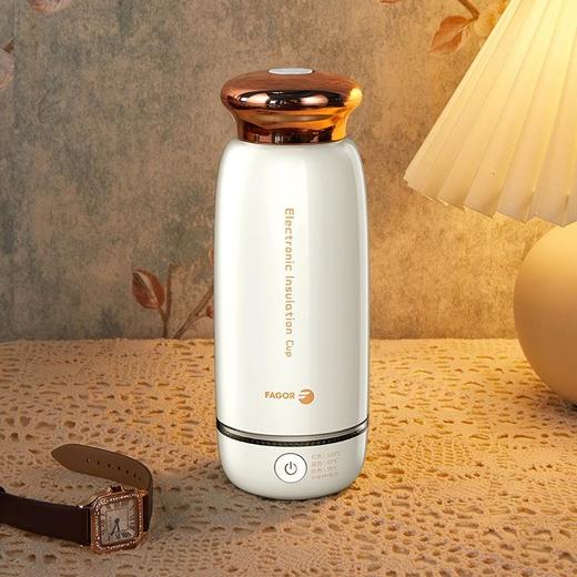 【法格】法格烧水壶便携式电热水杯自动家用保温旅行小型迷你TK-350B 商品图6