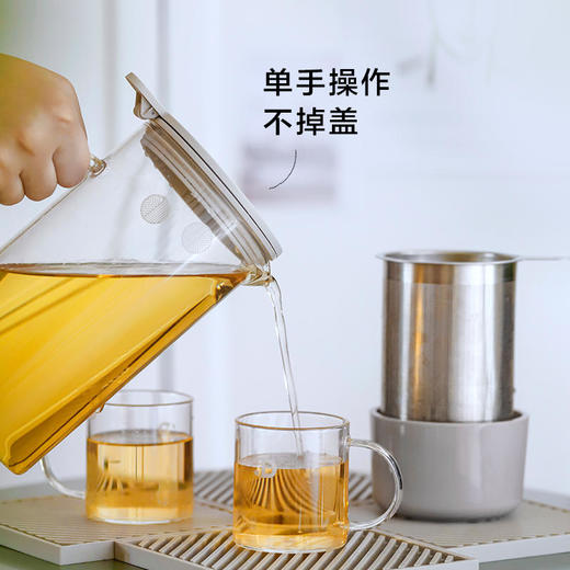 Buydeem/北鼎玻璃泡茶壶耐高温的家用过滤茶具冲茶器花果茶杯水壶 商品图1