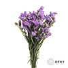 配花 | 勿忘我浅紫色 商品缩略图5