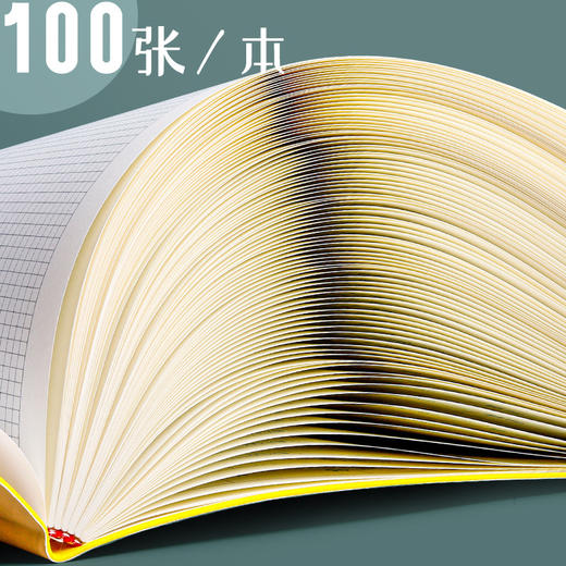 【全年计划，一目了然】日程管理本365天日历本每日计划本时间管理效率手册强迫拖延症自律打卡本工作日志笔记本子手账定制记事本 商品图3