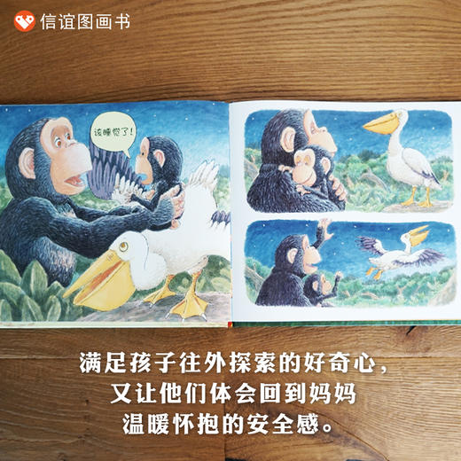 信谊 宝宝起步走：一起玩 商品图3