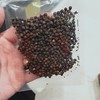 黑胡椒粒25g 商品缩略图0