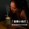 【大宇】DAEWOO/大宇加湿器迷你家用静音卧室车载孕婴充插两用办公室大宇加湿器电池款J1 商品缩略图2