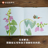 信谊 世界精选图画书：一寸虫 3-8岁精装儿童绘本 商品缩略图2