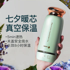 【法格】法格烧水壶便携式电热水杯自动家用保温旅行小型迷你TK-350B
