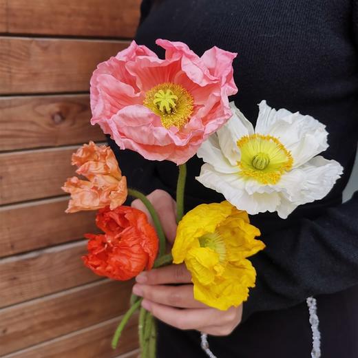 虞美人随机混色8支 商品图5