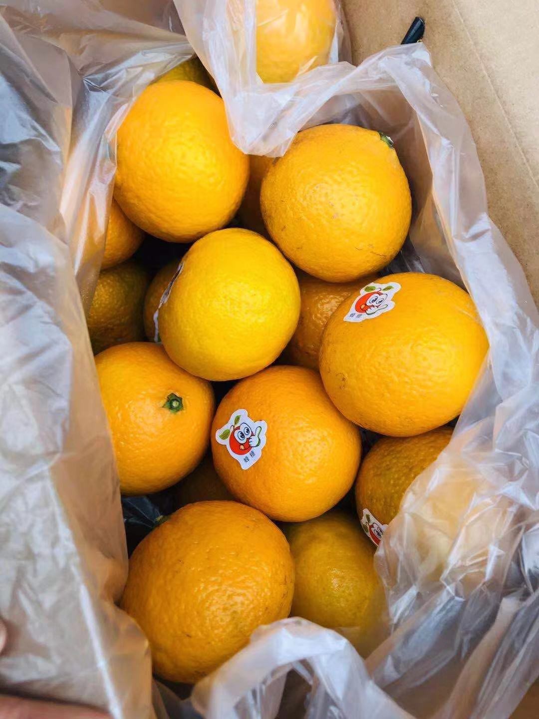 庆元甜橘柚,肉质橙黄色,肉质极致细嫩,甜度高,水份多商品详情微信支付